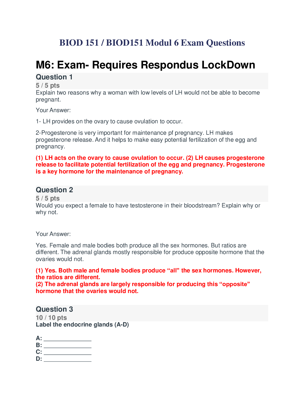 document-preview